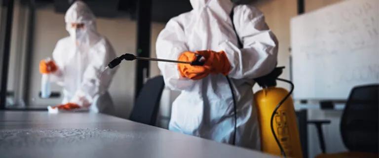 Step 6- Post-Treatment Cleaning and Sanitization