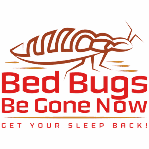 What Sets Bed Bugs Apart from Other Insects?