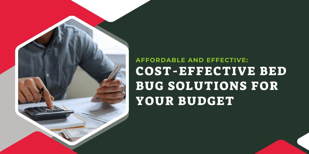 1-Affordable-and-Effective_-Cost-Effective-Bed-Bug-Solutions-for-Your-Budget