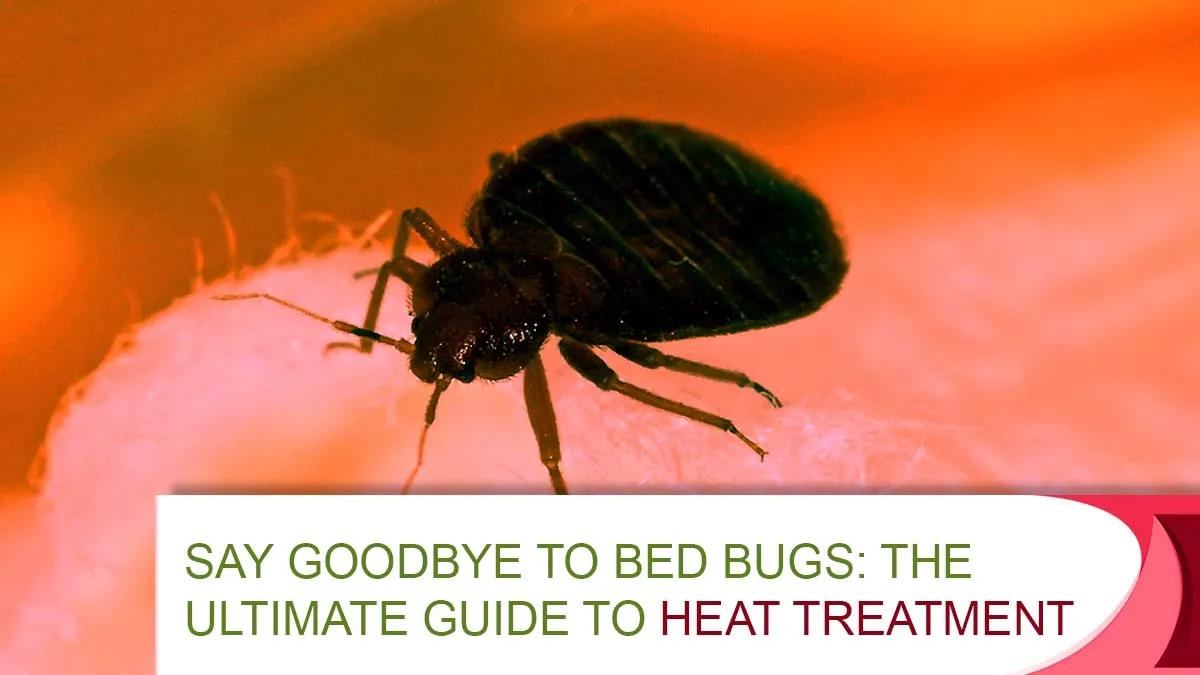Say Goodbye to Bed Bugs- The Ultimate Guide to Heat Treatment