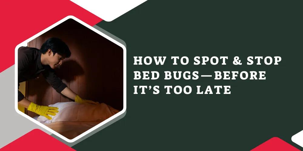 How to Spot & Stop Bed Bugs—Before It’s Too Late