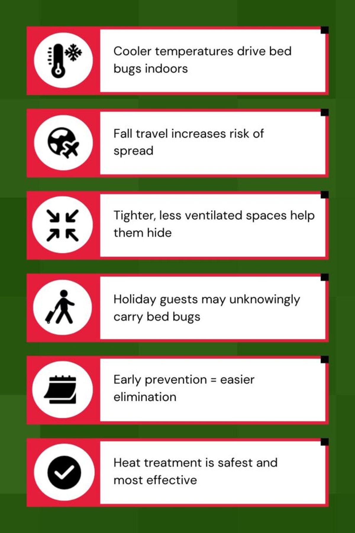 Fall Is a Prime Time for Bed Bugs