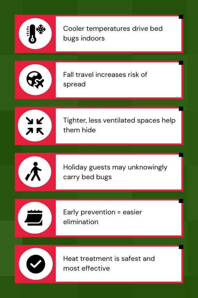 Fall Is a Prime Time for Bed Bugs