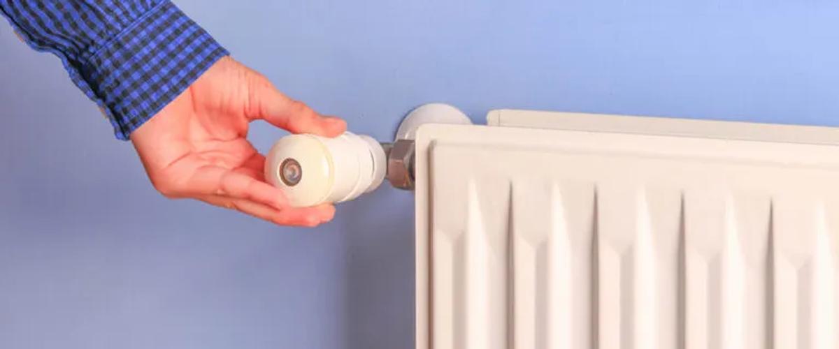 Comparing Heat Extermination to Other Methods