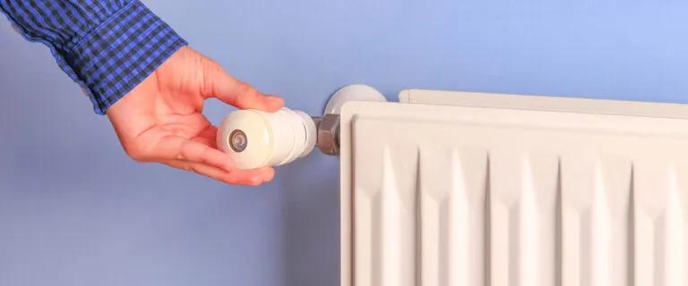 Comparing Heat Extermination to Other Methods