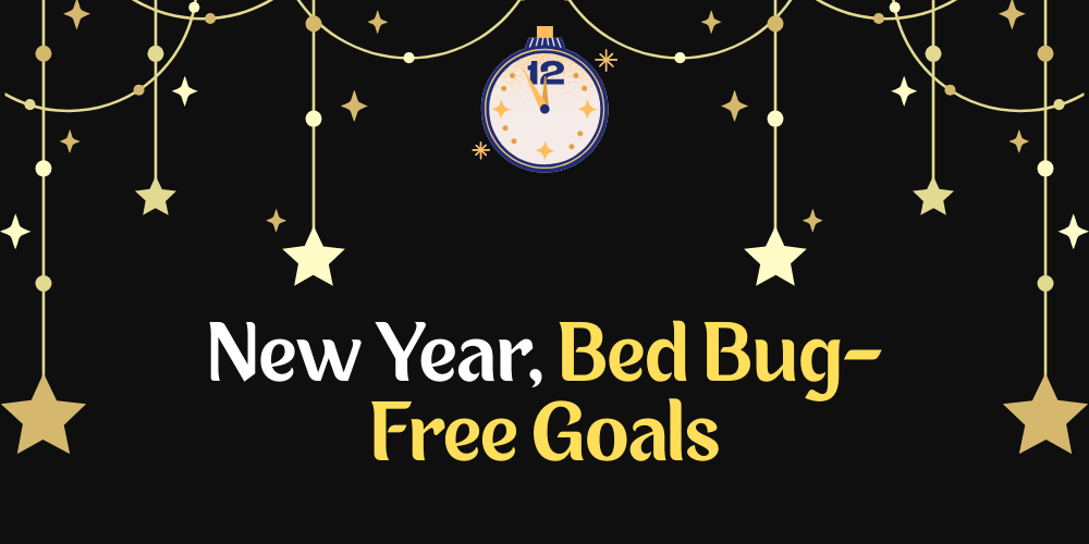 New Year, Bed Bug-Free Goals