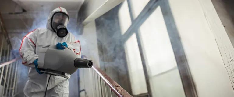 Benefits of Choosing Heat Extermination