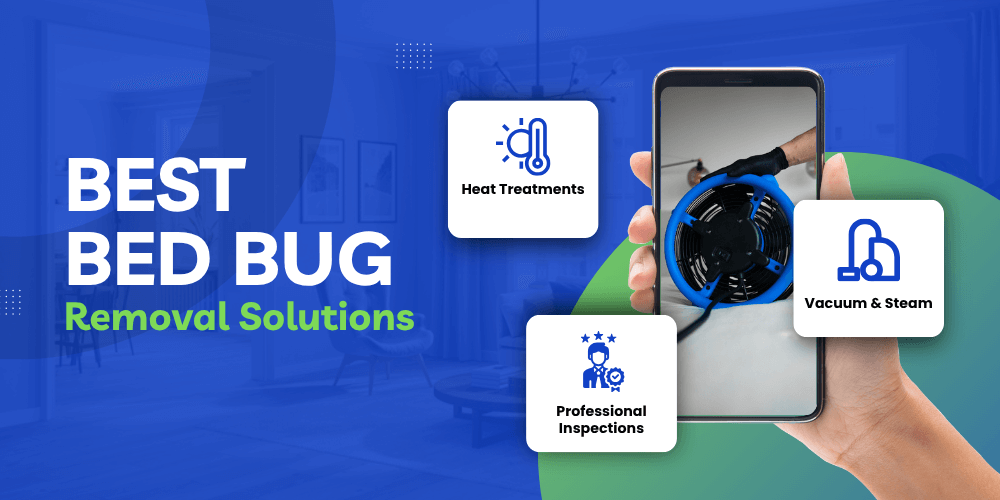 Best Bed Bug Removal