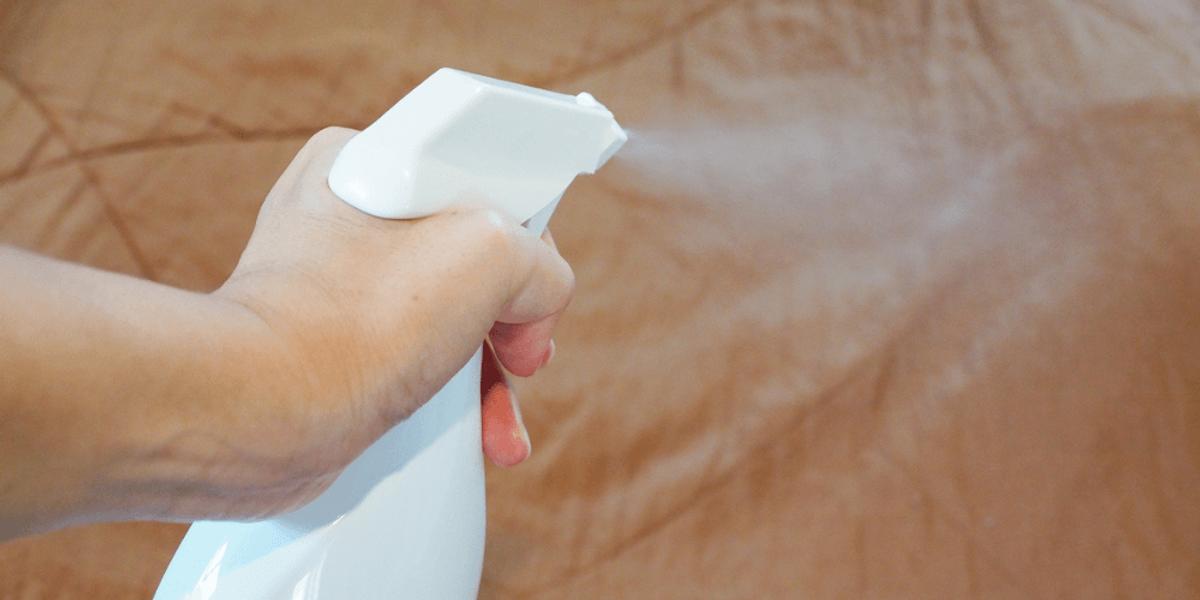 What-is-conventional-bed-bug-treatment