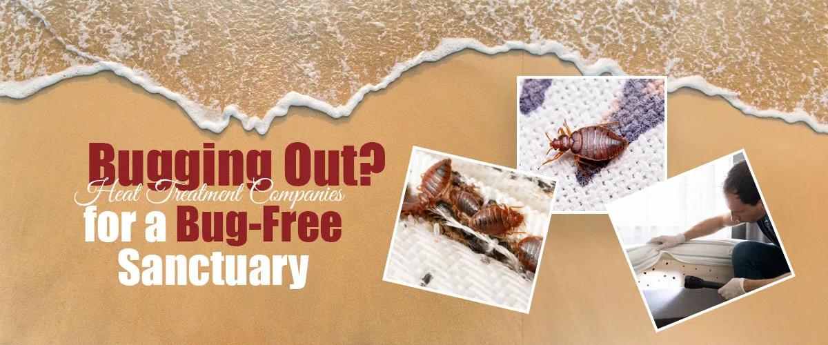 Bugging Out? Heat Treatment Companies for a Bug-Free Sanctuary