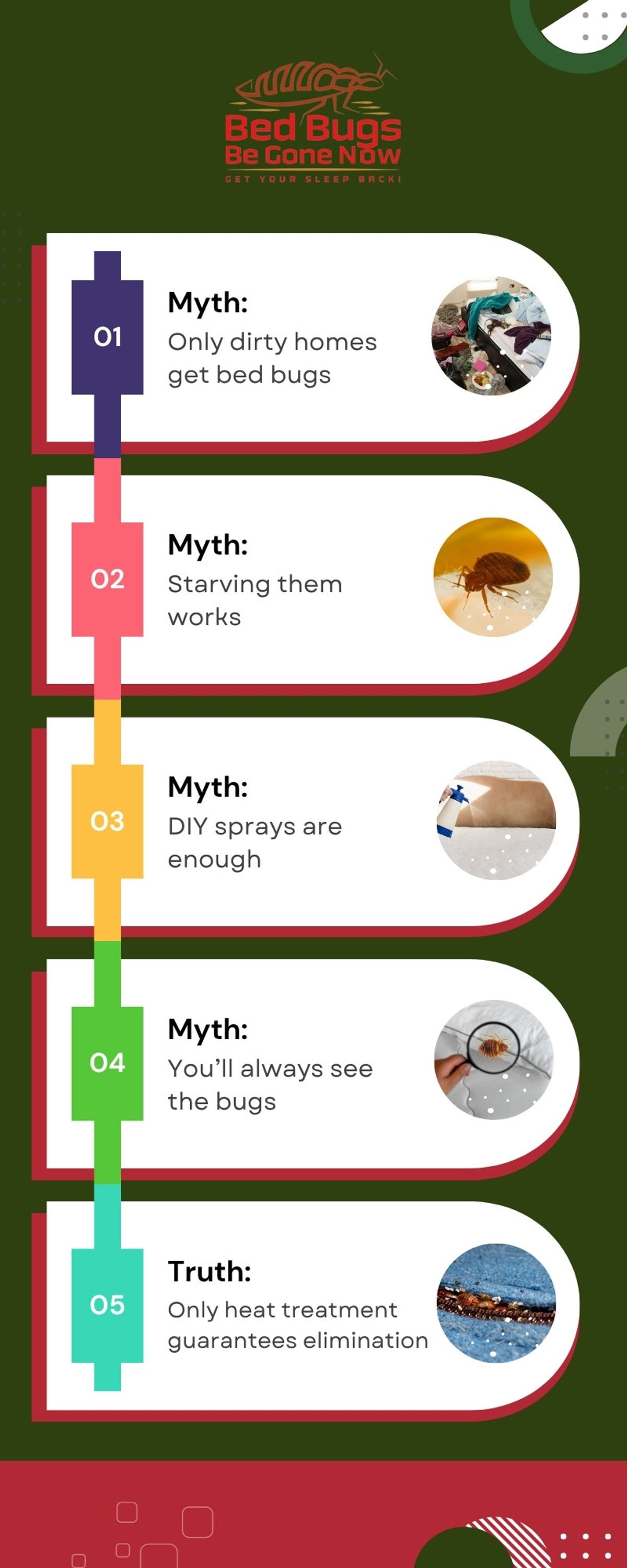 Infographic -Top Myths About Bed Bugs—Debunked(Body)