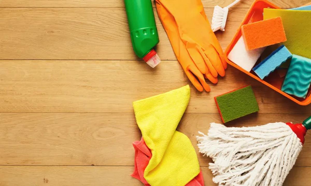 You Can Do Things to Help Keep Bedbugs Away from Your Home