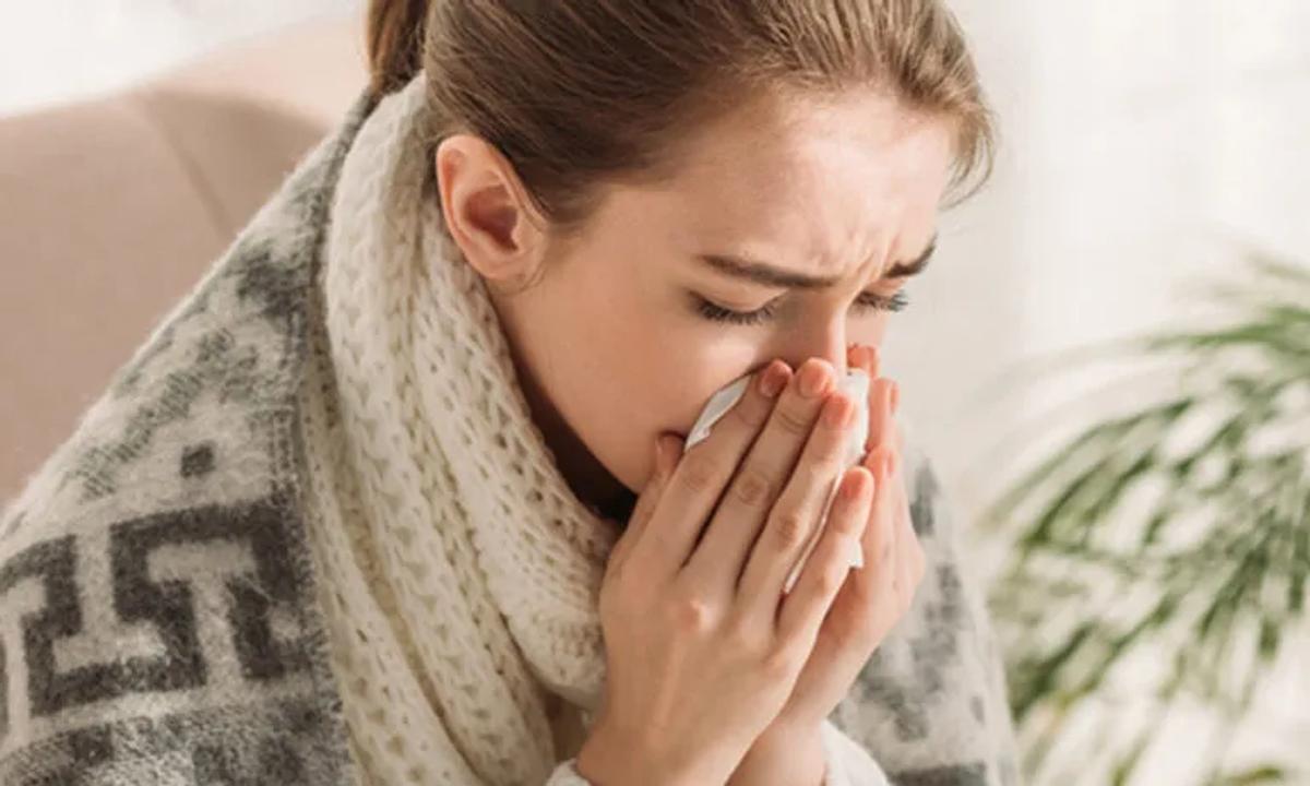 Bed Bugs Infection
