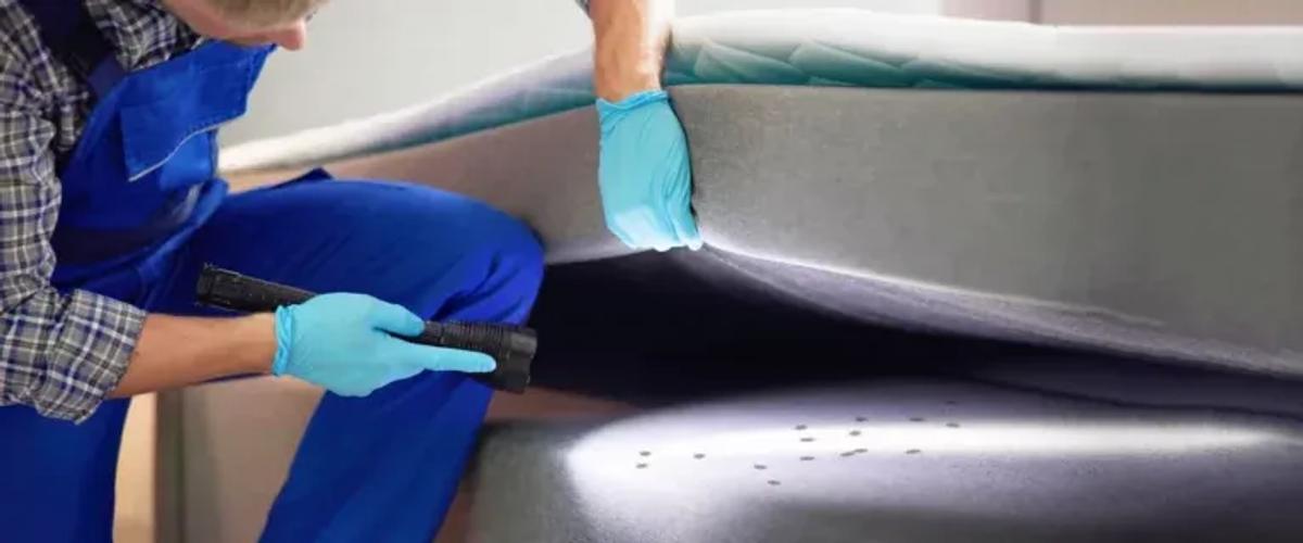 Professional Services for Bed Bug Treatment