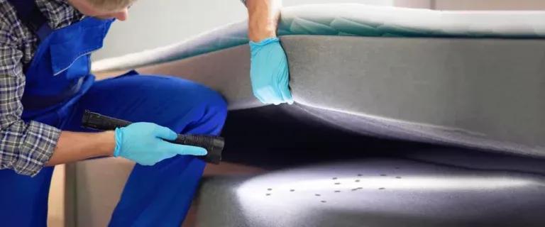 Professional Services for Bed Bug Treatment