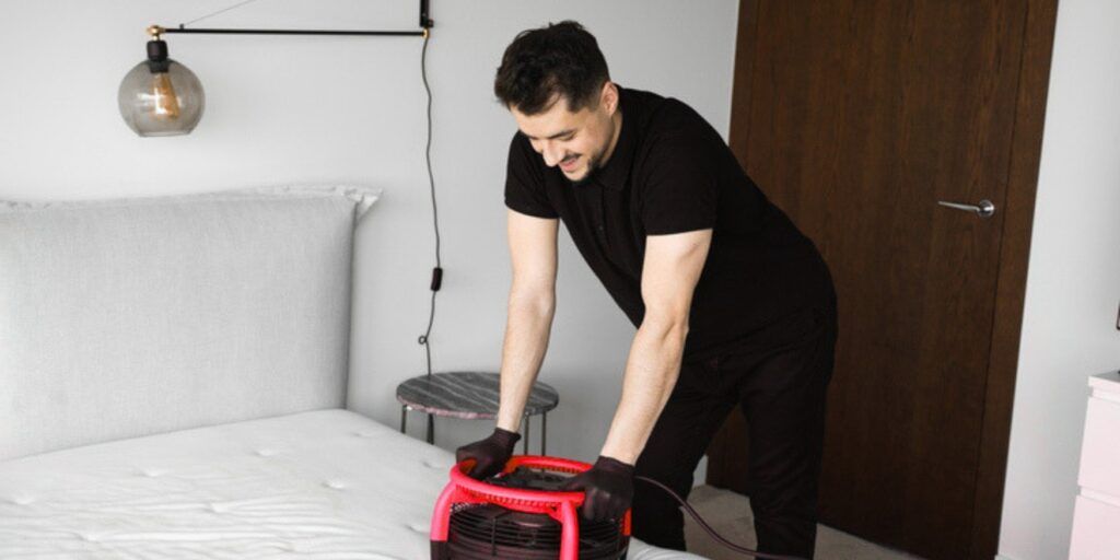 How Does Our Heat Treatment Completely Eradicate Bed Bugs?