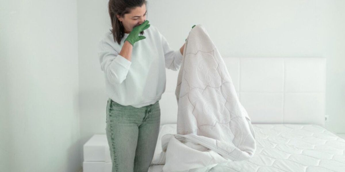 Bed bug infestation can be possible even if not visible in mattresses