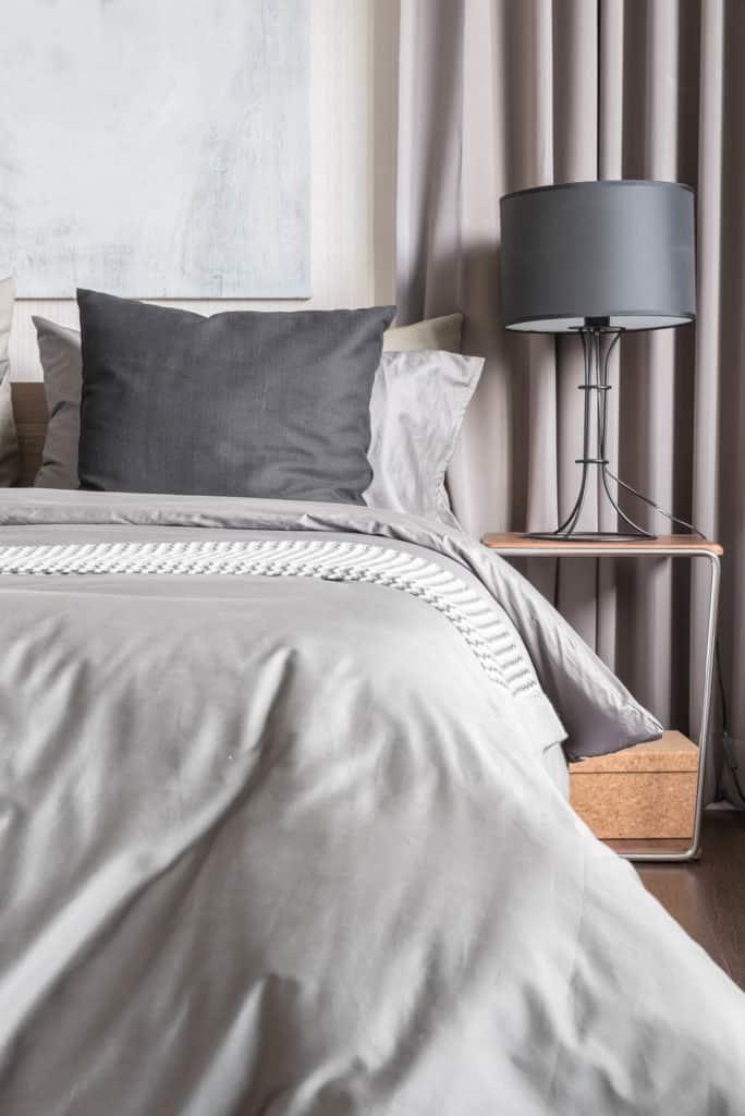 How Does Our Heat Treatment Completely Eradicate Bed Bugs?