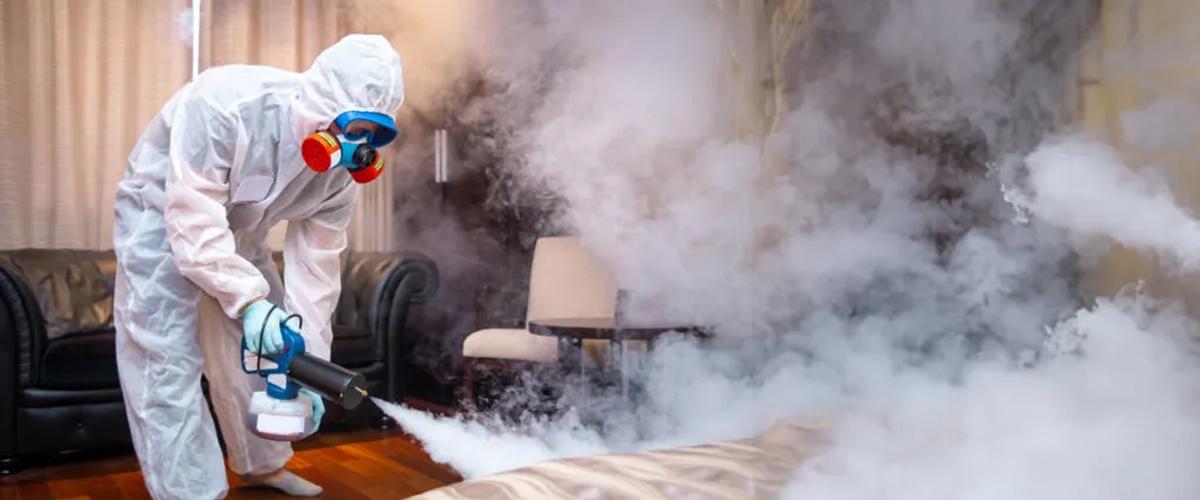 What is Bed Bug Heat Extermination?