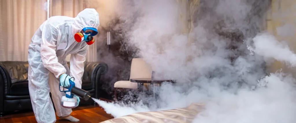 What is Bed Bug Heat Extermination?