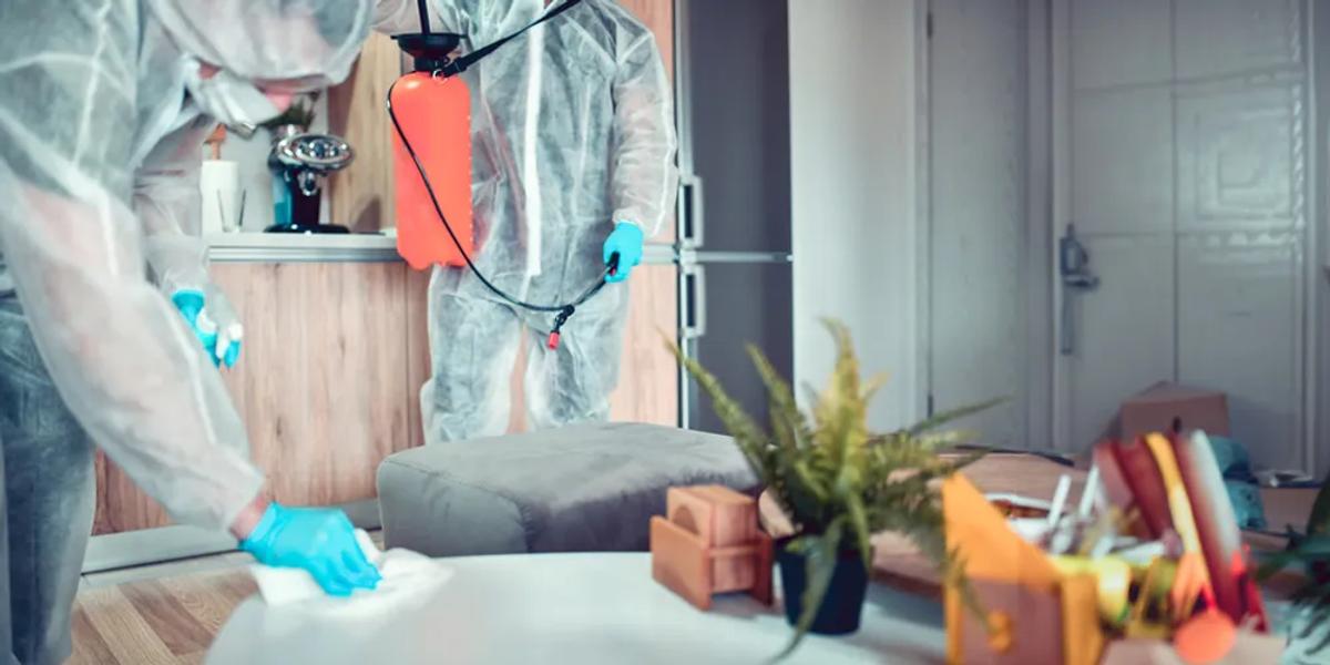 Speed and Convenience of Chemical Extermination