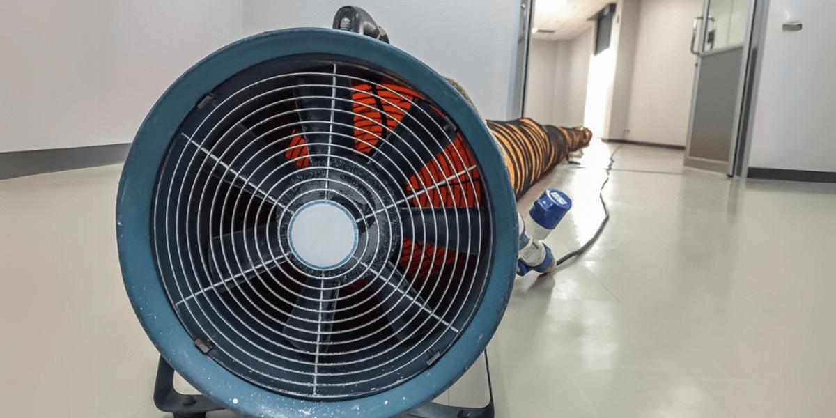 Ending-Bed-Bugs-for-Good
