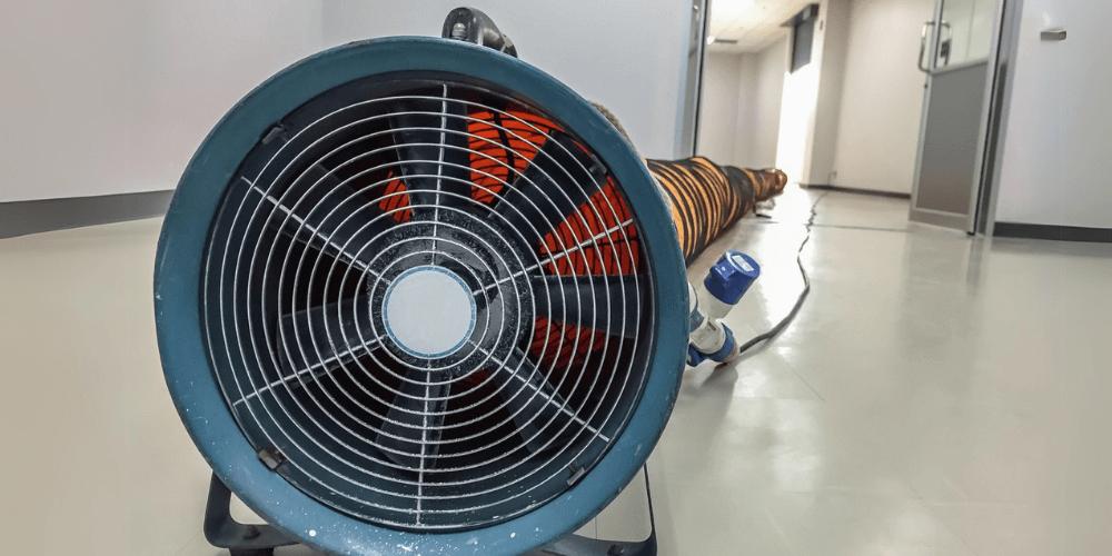 Ending-Bed-Bugs-for-Good