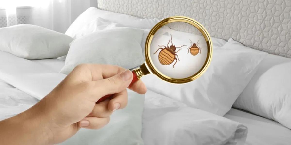 Proper Inspection Techniques