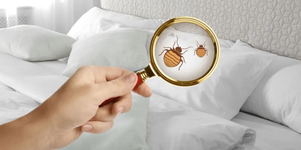 Proper Inspection Techniques