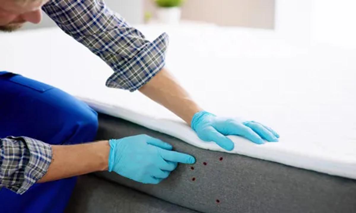 Pros of Conventional Bed Bug Treatment Methods