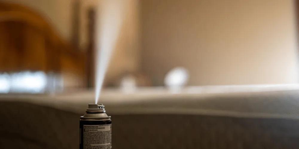 Why Bed Bugs Keep Coming Back (And How to Stop It)
