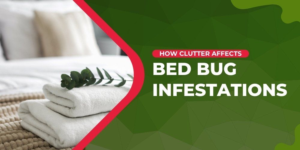 Clutter Affects Bed Bug Infestations
