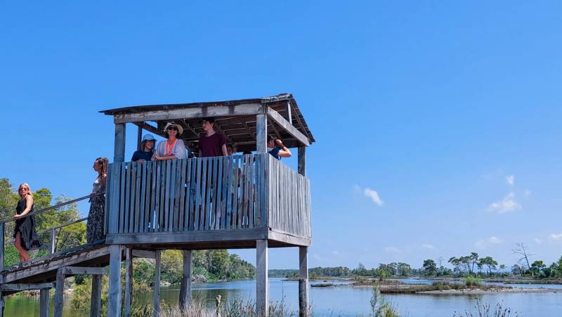 Divjaka-Karavasta Lagoon Boat & Watchtower Day Tour From Durres