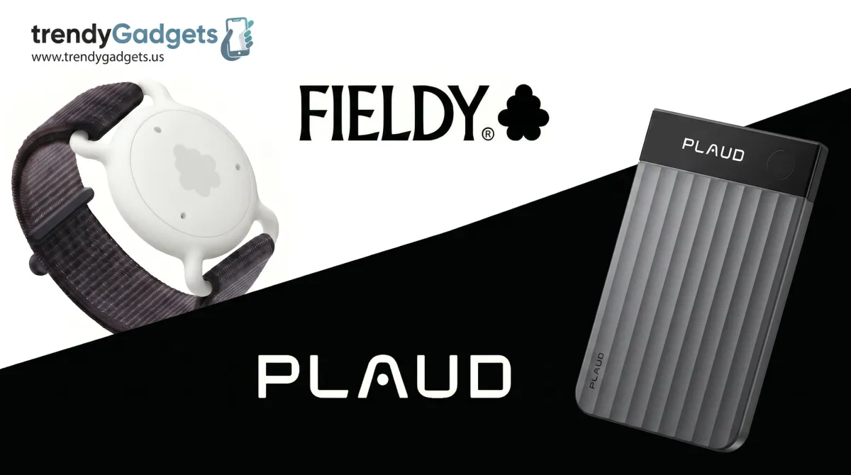 Plaud vs Fieldy