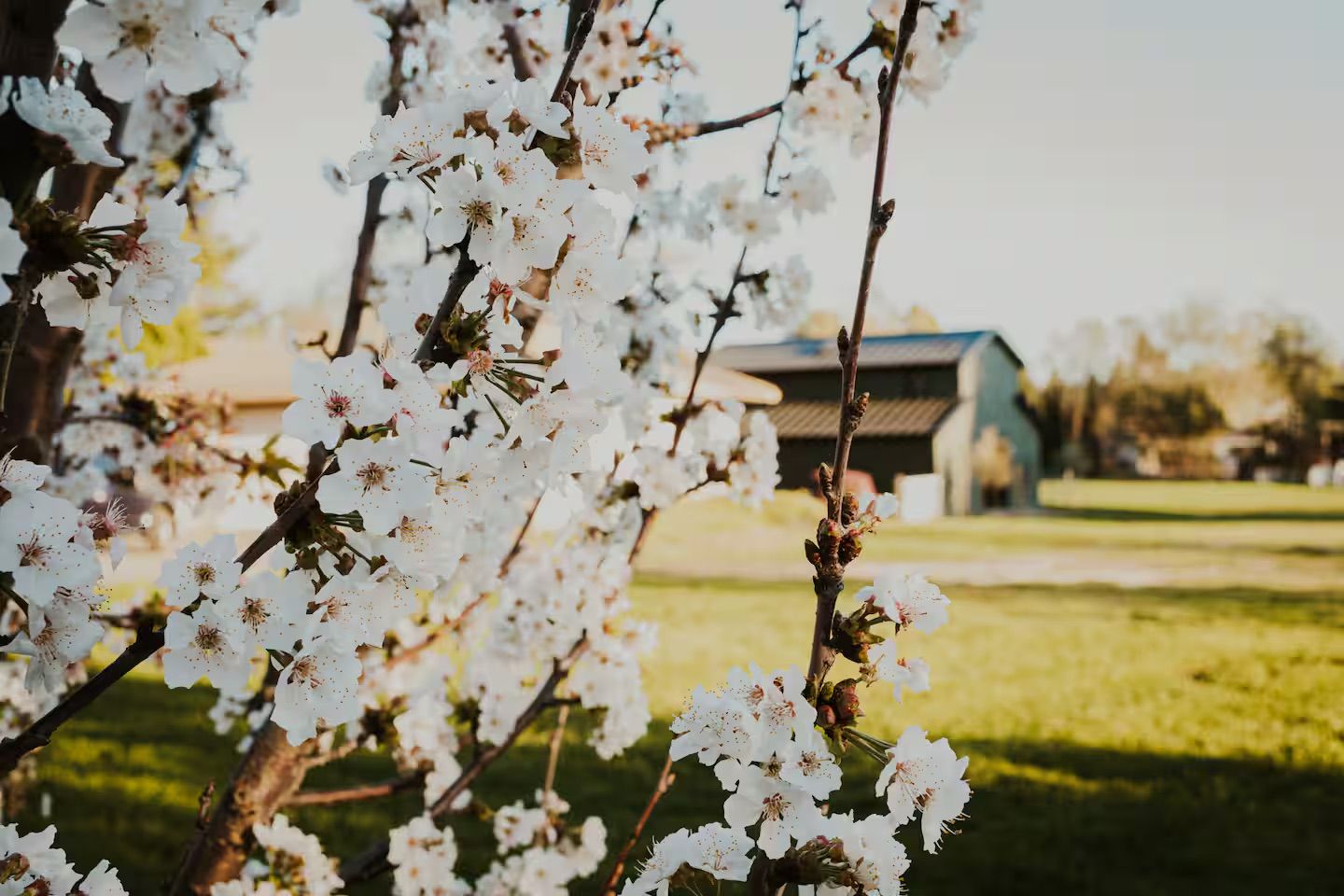 Perry Brook Farms - The Grounds ~ Spring