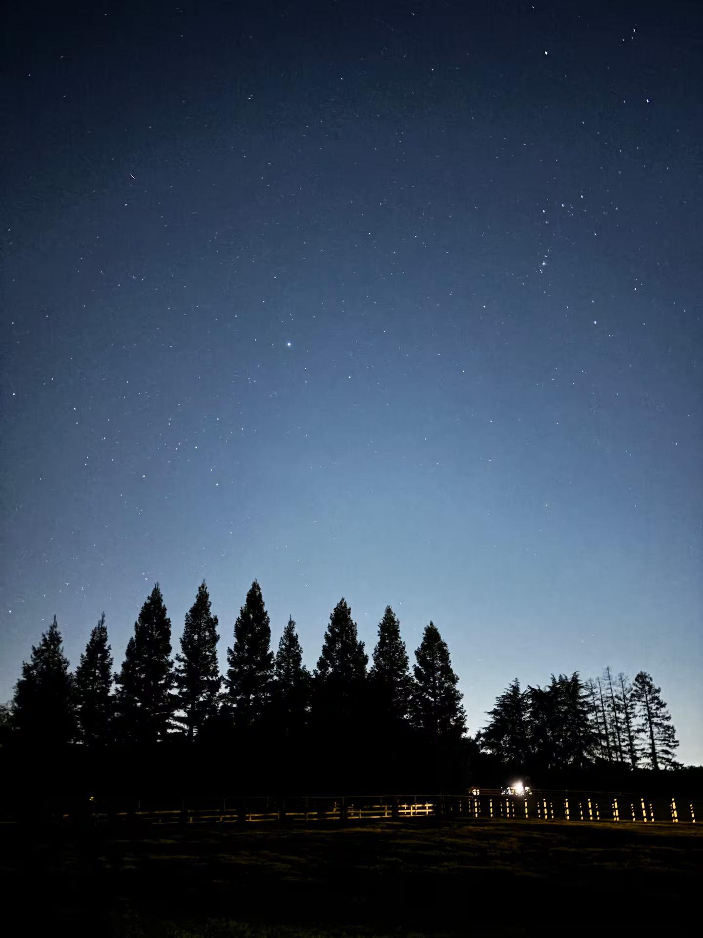 Stars at night