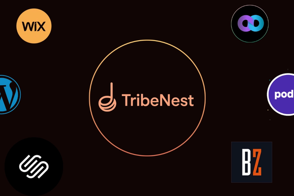 TribeNest vs. Traditional Website Builders: What Creators Should Know
