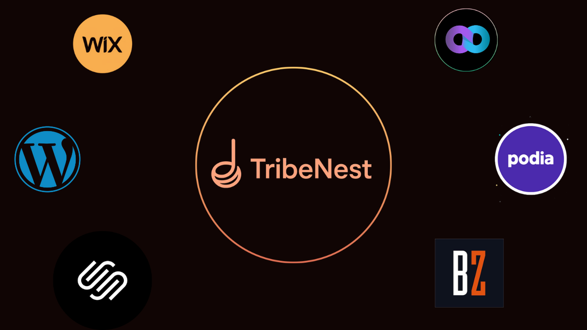 TribeNest vs. Traditional Website Builders: What Creators Should Know