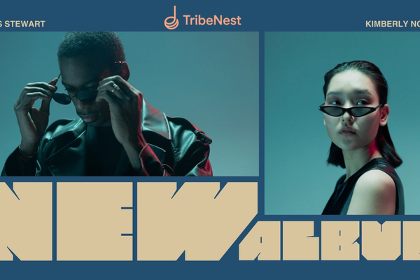 How to Promote and Sell Your Music Online Using Tribenest