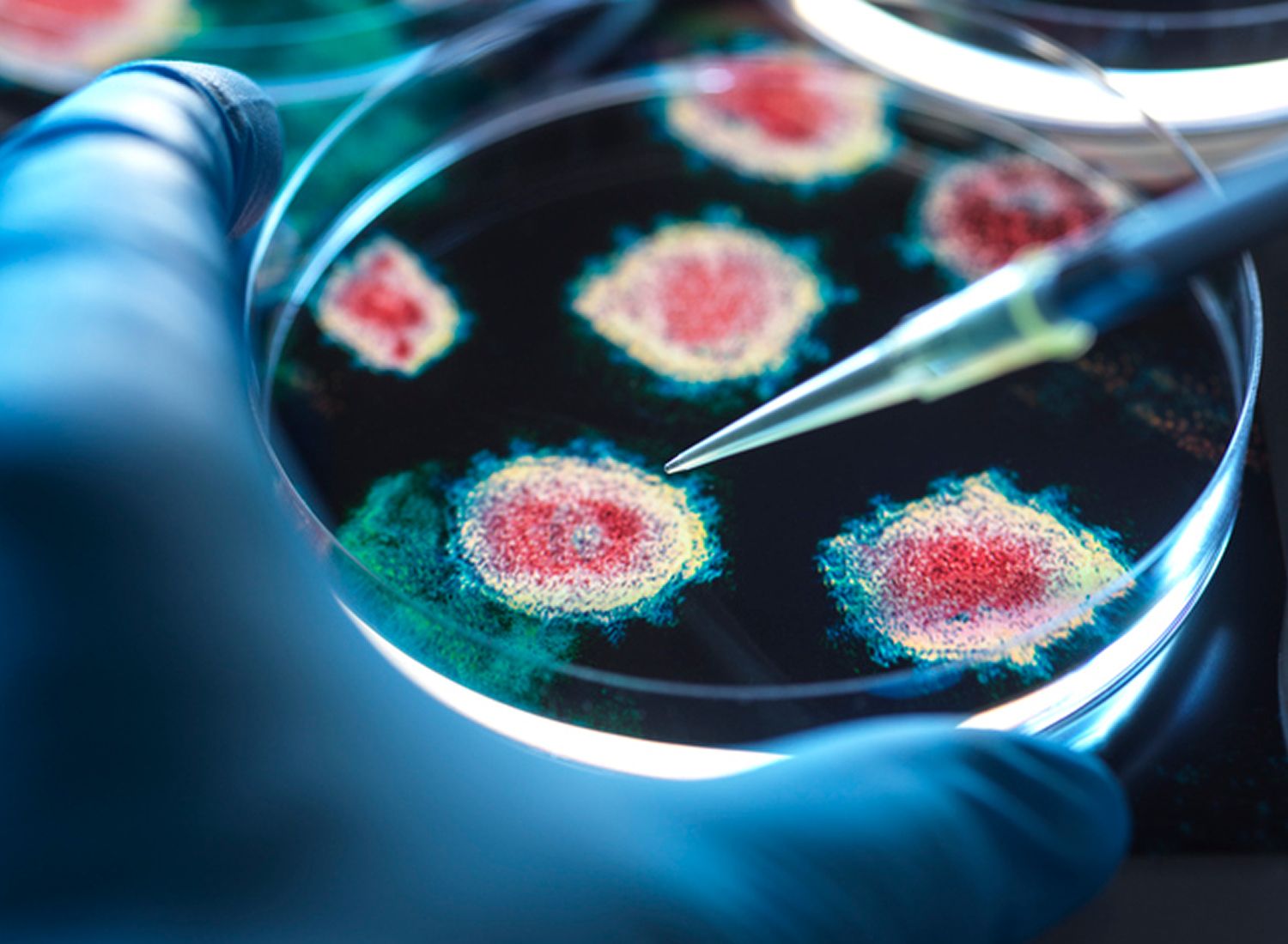 Multiple Disease Types