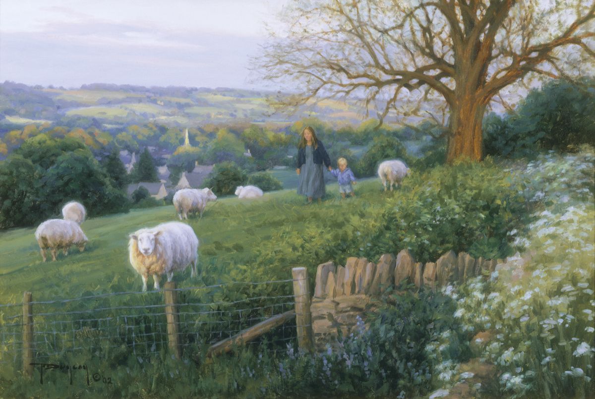 Cotswold Evening