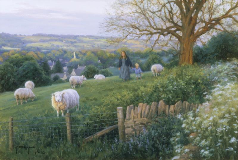 Cotswold Evening