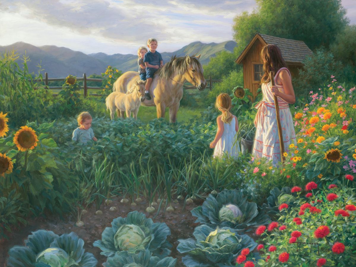 The Summer Foal