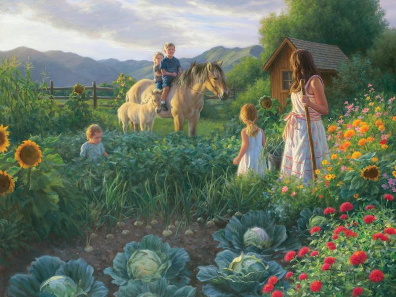 The Summer Foal