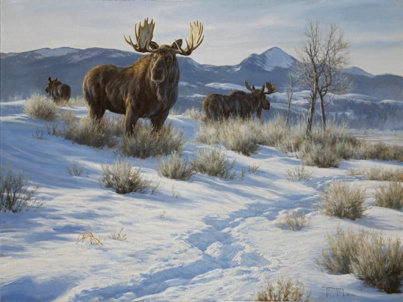 The Wintering Grounds