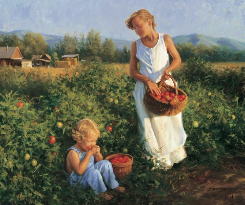 Ripe Tomatoes