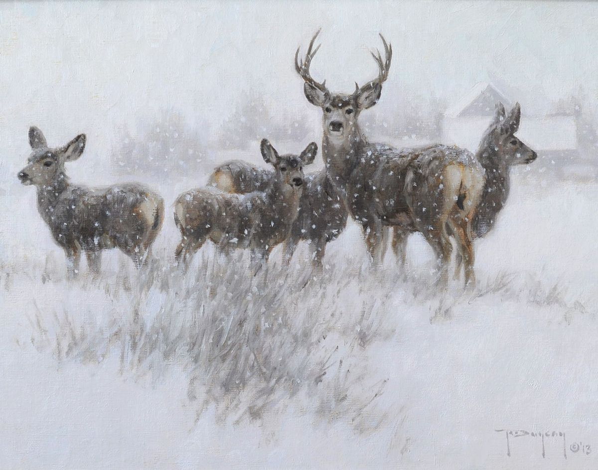 Our Winter Neighbors