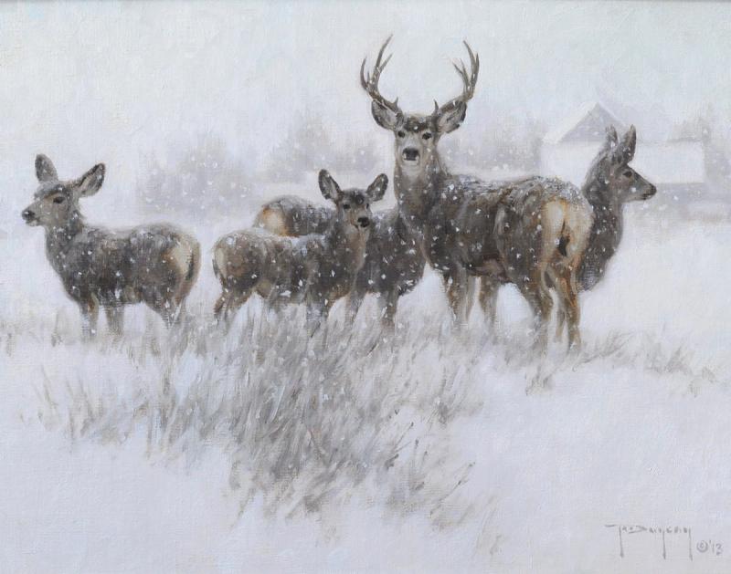 Our Winter Neighbors