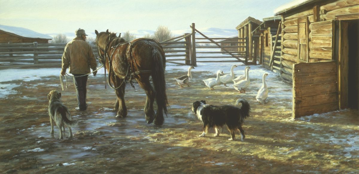 Icy Morning