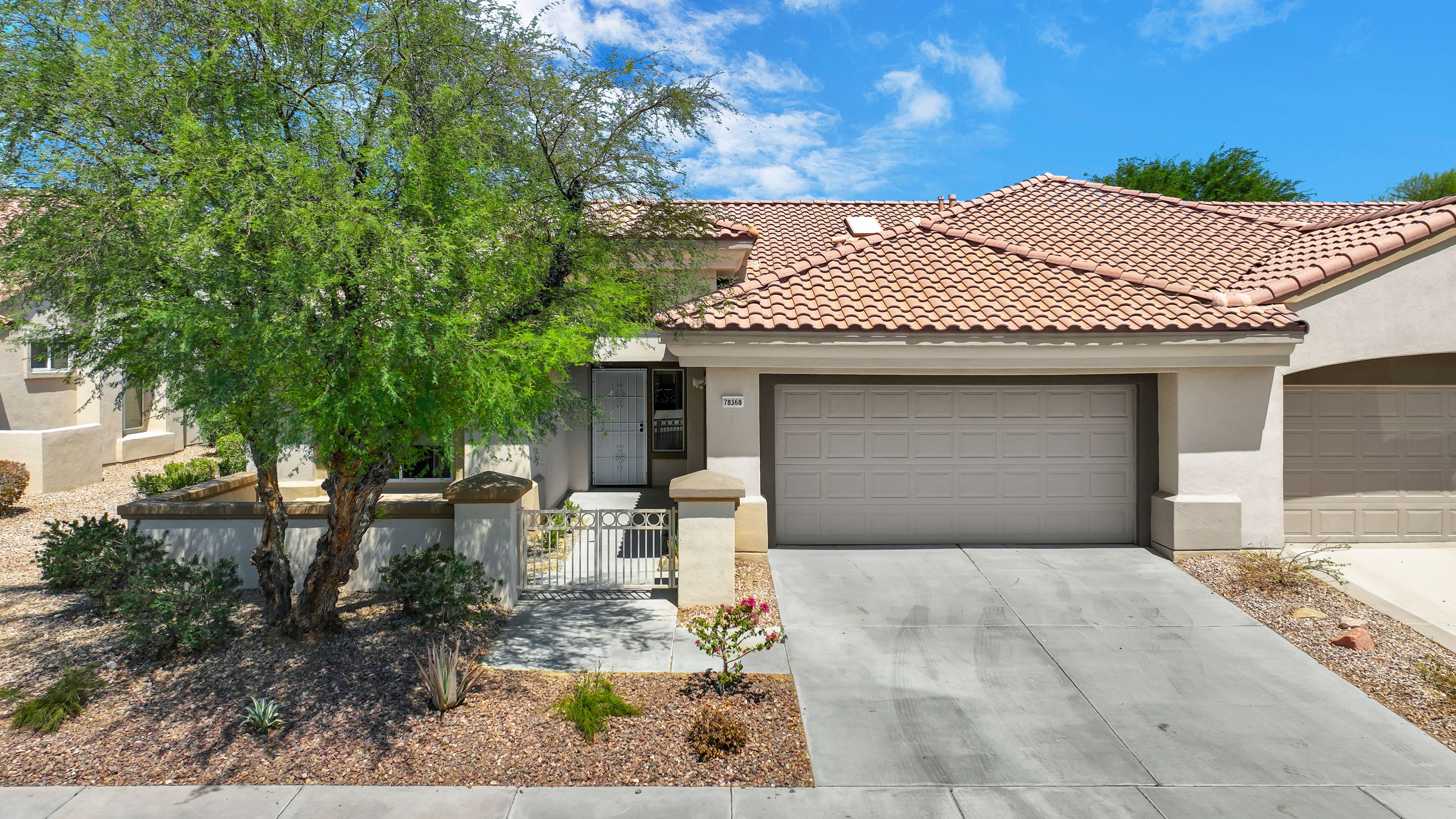 78368 Desert Willow